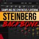 Steinberg BackBone v1.5