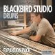 Steven Slate SSD4 - Blackbird Studio Drums Expansion