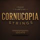 Strezov Sampling Cornucopia Strings v1.4
