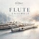 Strezov Sampling Flute Ensemble