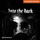 Toontrack Into the Dark EZX