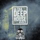 Vandalism Ultra Deep House Vocals
