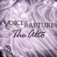 Voice of Rapture The Alto