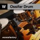 Wavesfactory Ossifar Drum