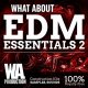 What About EDM Essentials 2 [DVD]