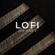 Zenhiser Lofi Hip Hop 2